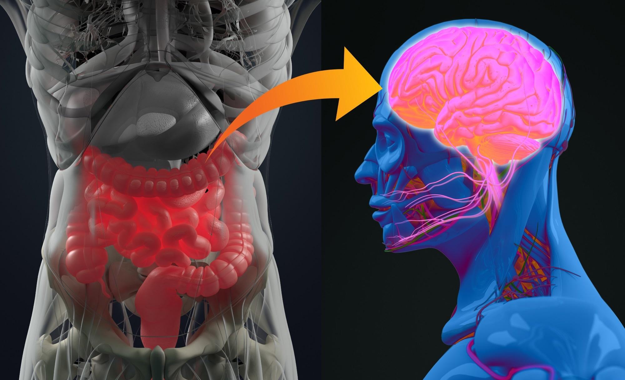 Gut microbiomes and mental health: how do they interact?